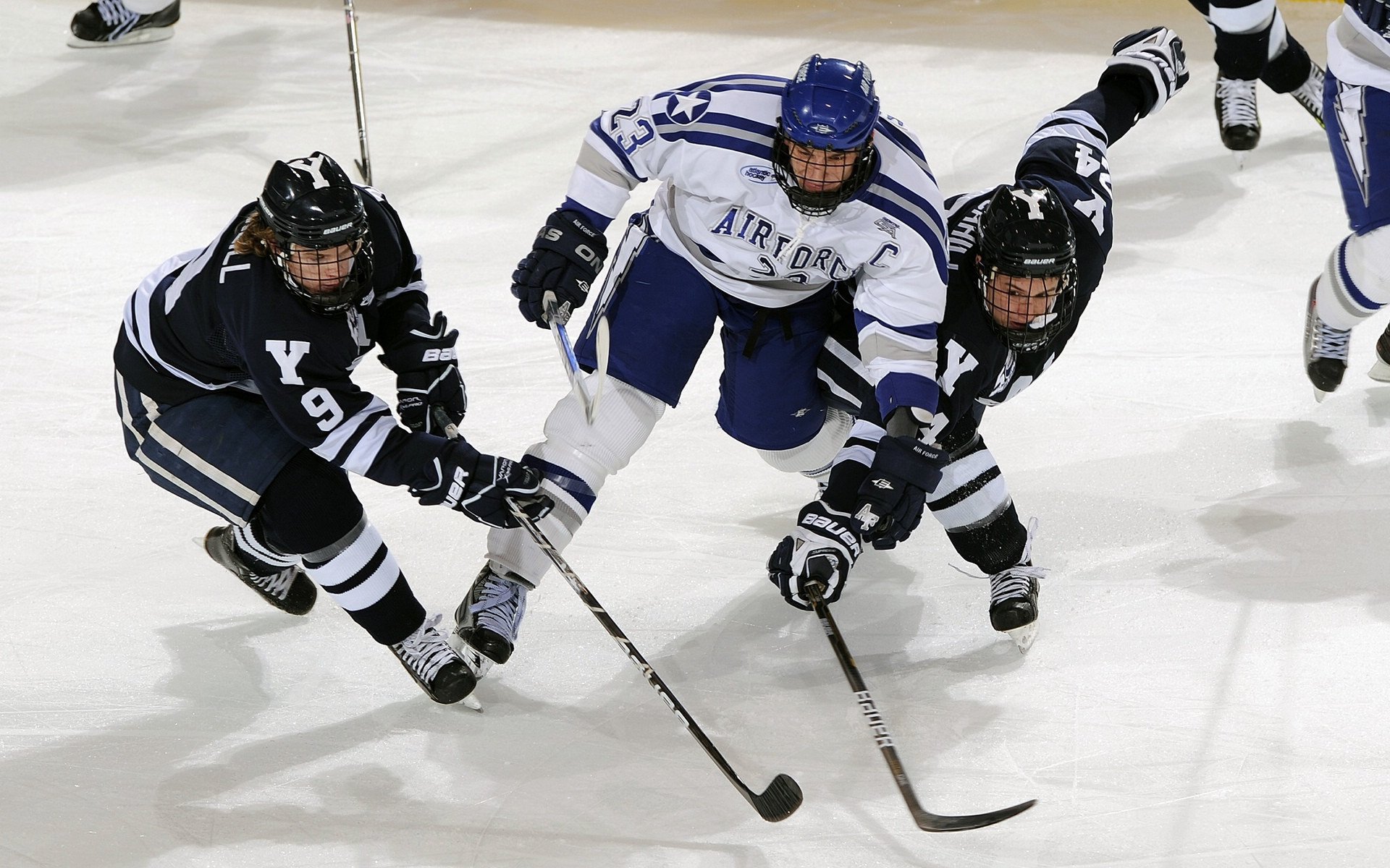 塞内加尔马术队在非洲马术锦标会三项赛中获得第五名，表现稳健。