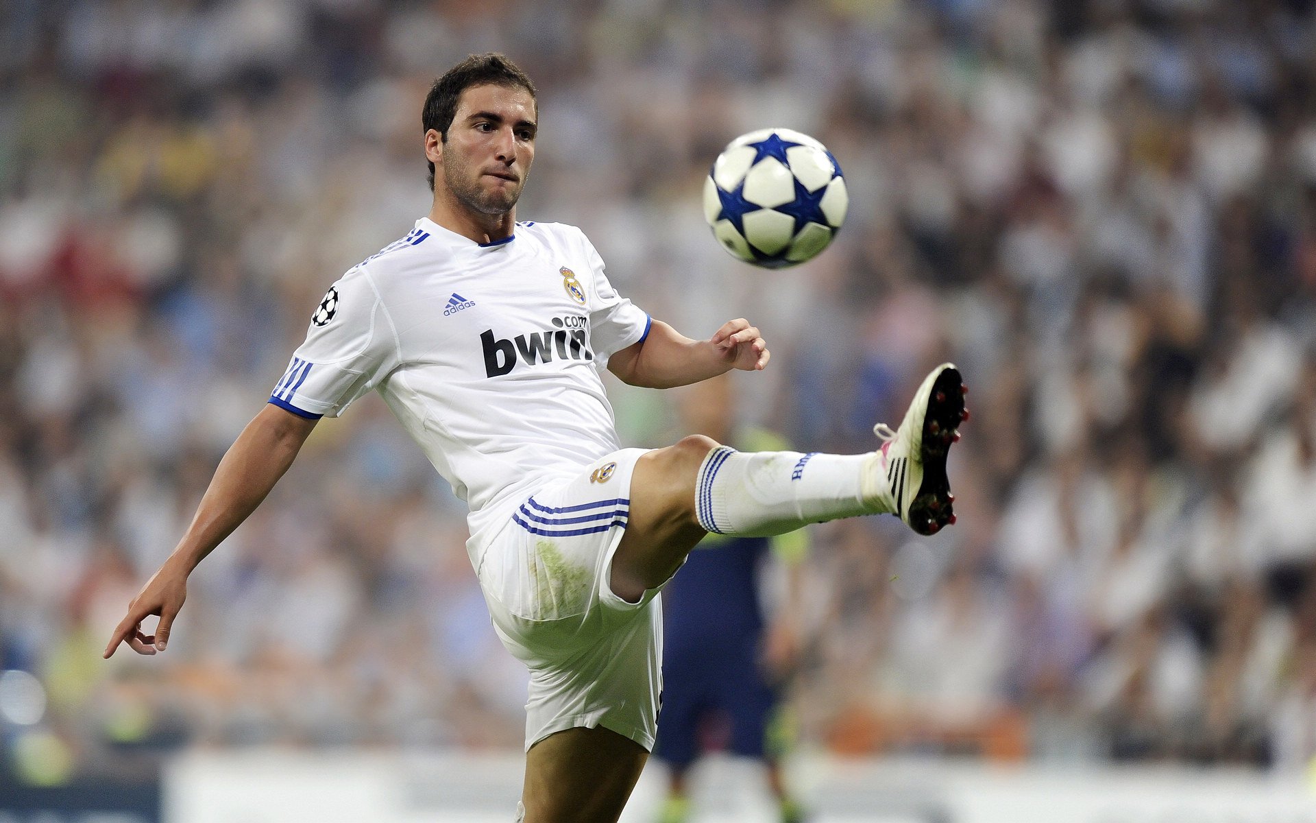 德甲劲旅球员伤病情况更新，德甲弱旅